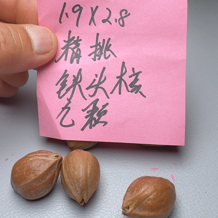 橄榄核手串橄榄核3666