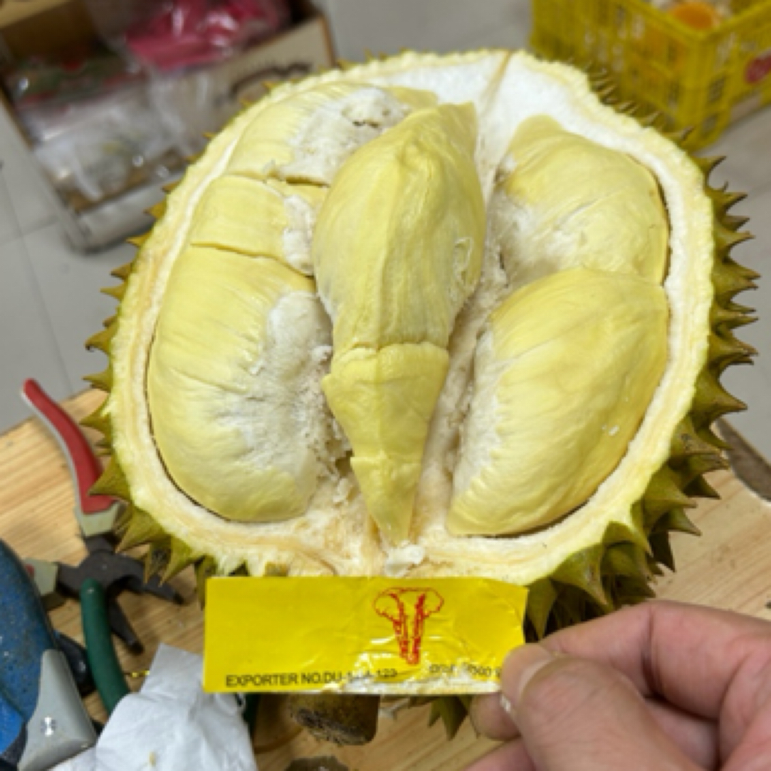 3号链接【一果一拍 2-10斤】【泰国金枕榴莲肉核小】佛山同城小时达新鲜榴莲金枕泰国