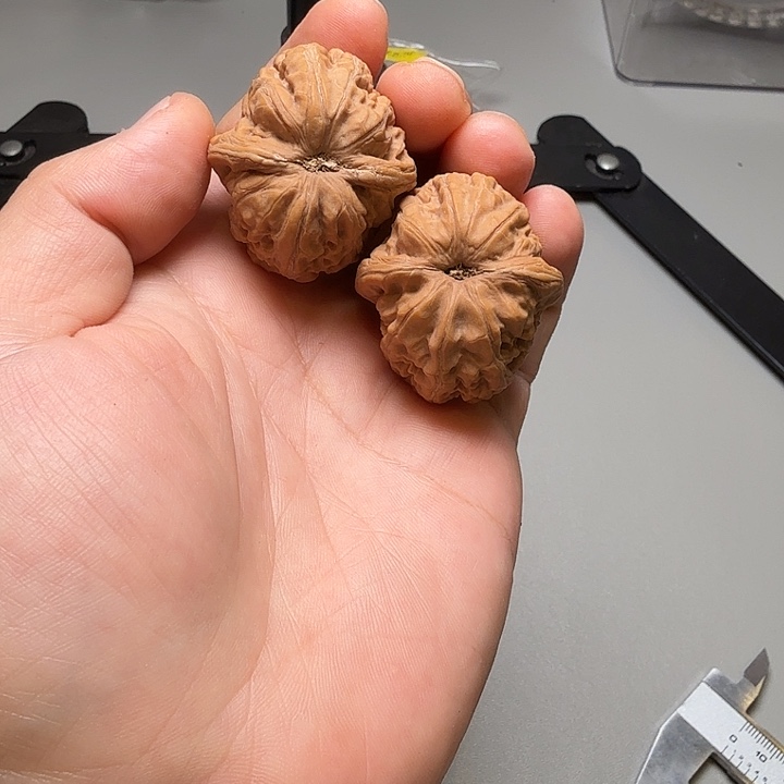 文玩核桃吊坠元宝