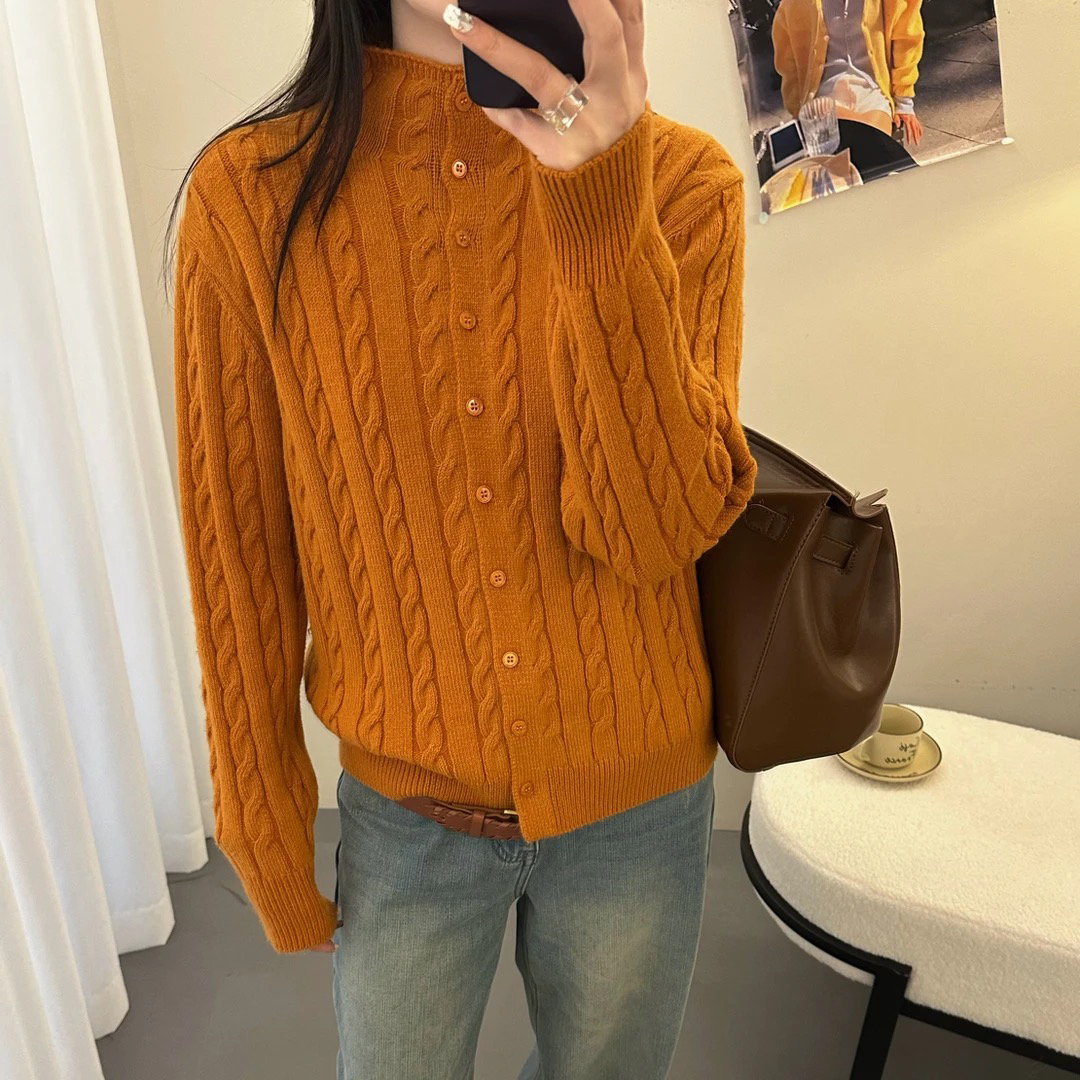 1201 韩系半高领麻花珍惜浣熊加厚针织 （高品质）