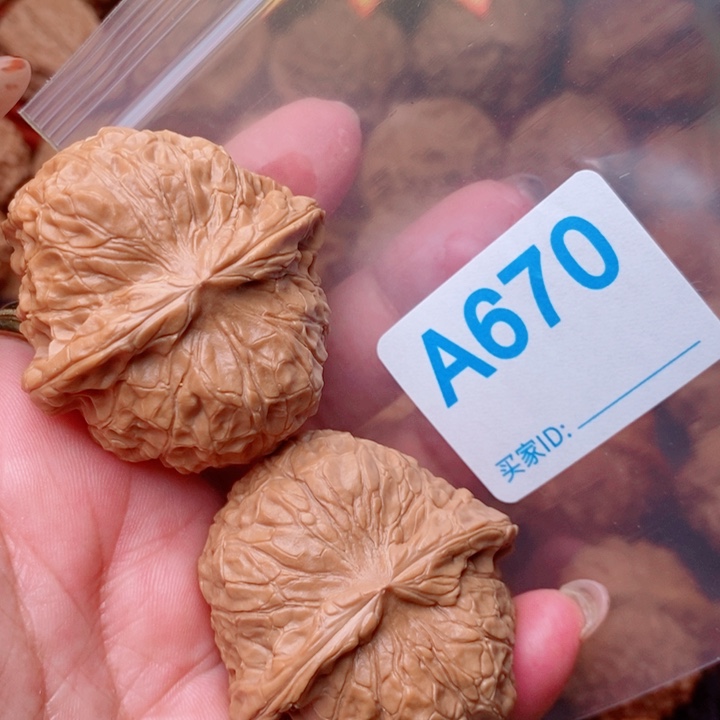 南瓜44加670号123