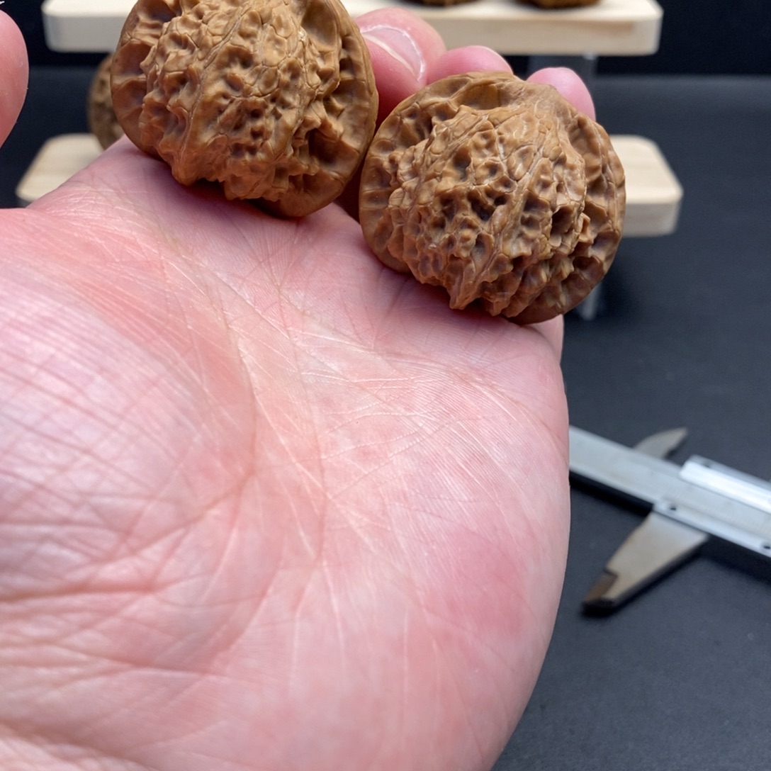 把件文玩核桃39平顶狮子头