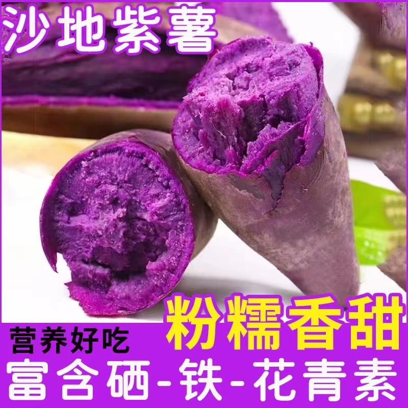 【坏果包赔】新鲜现挖紫薯紫罗兰红薯粉糯香甜4.5斤