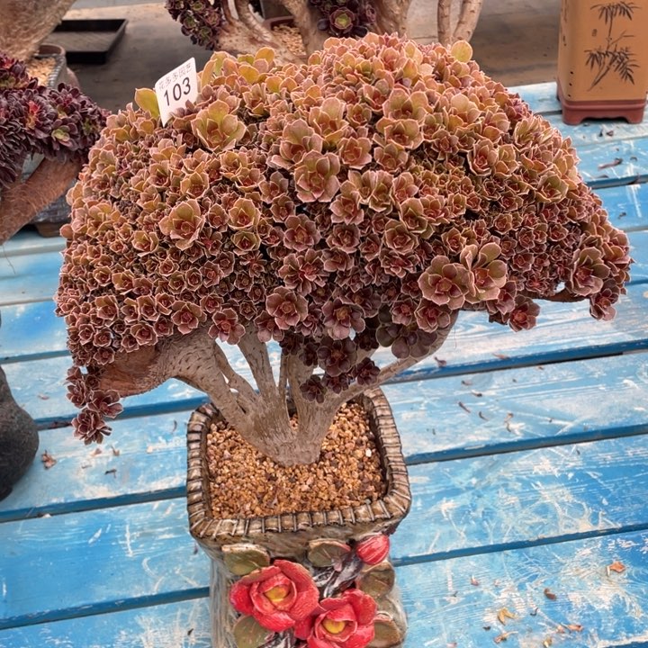 迪****?103号柠檬玫瑰朵朵有伤