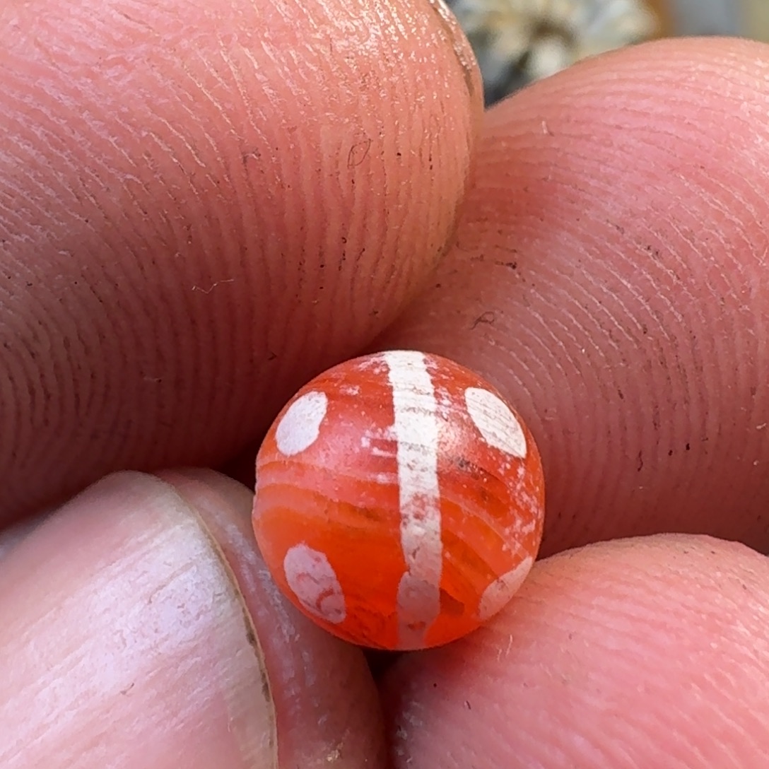 无非金属一物一图一物一图