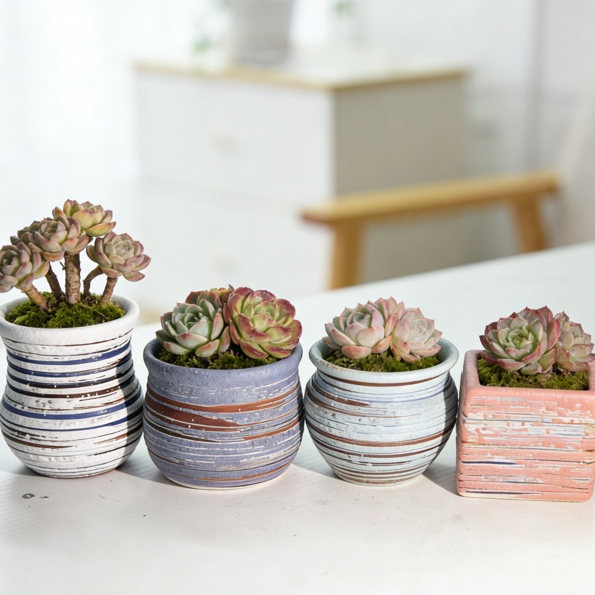 多肉透气花盆大小口径复古清新北欧风中国风桌面绿植花器1806