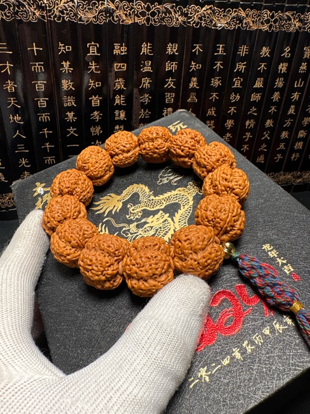 金刚菩提超头梅花菠萝蜜（31号）