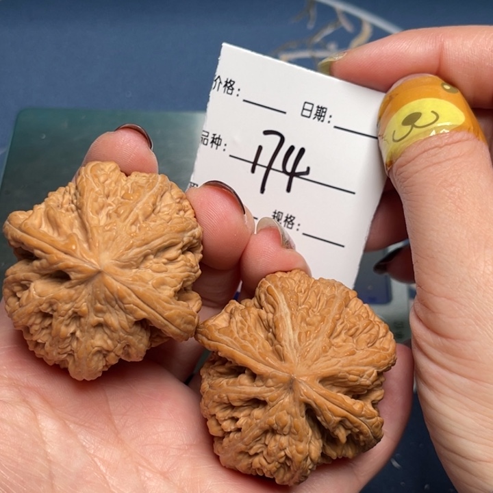 文玩核桃把件粗筋44