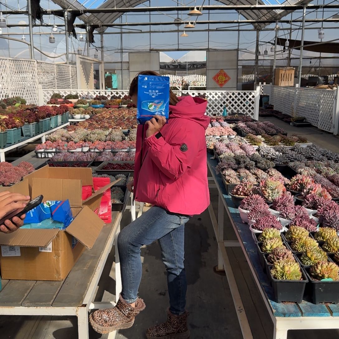 从前慢花园多肉编号-小蓝福利