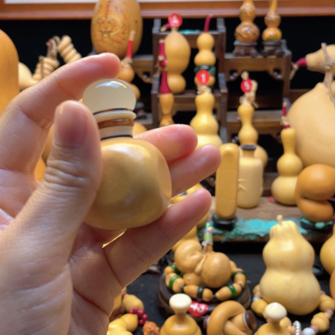 多*！大自然的秘密第十一章