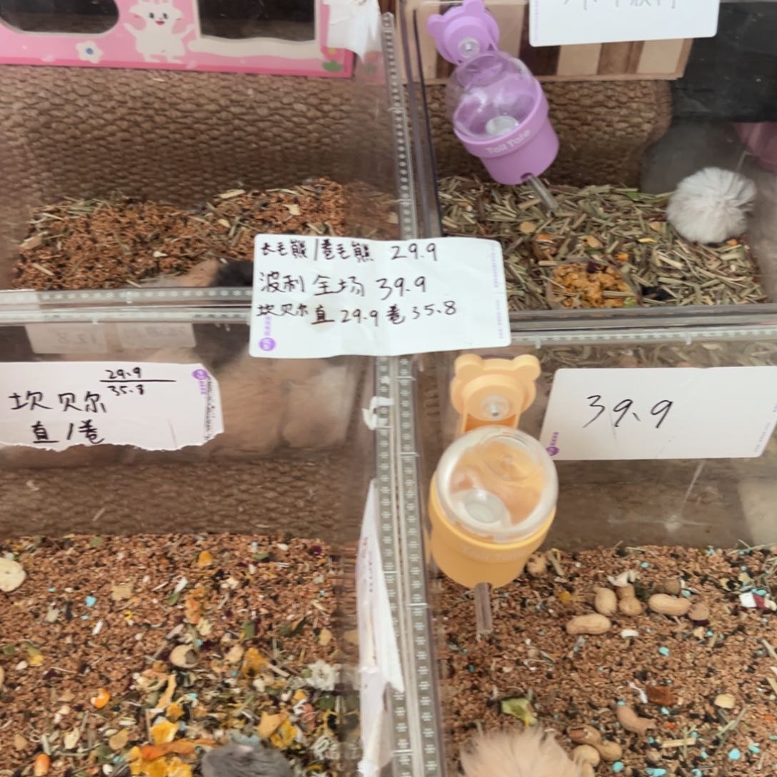 佳*。1000免费送给我