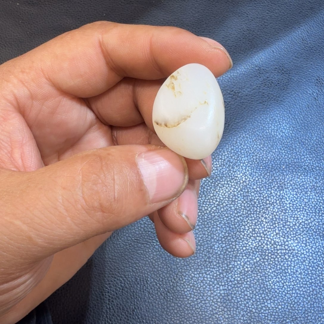 和田玉颈饰未镶嵌用*