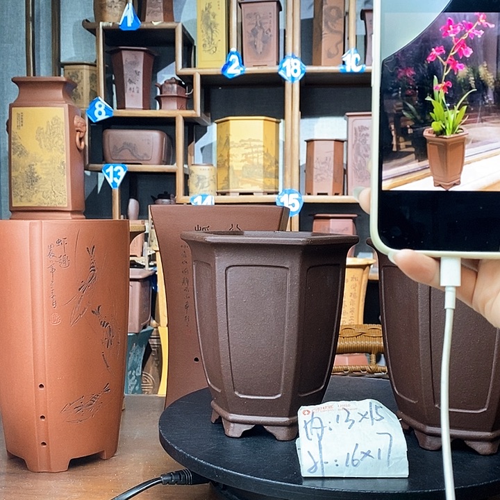 紫砂两只红灯大漏价68