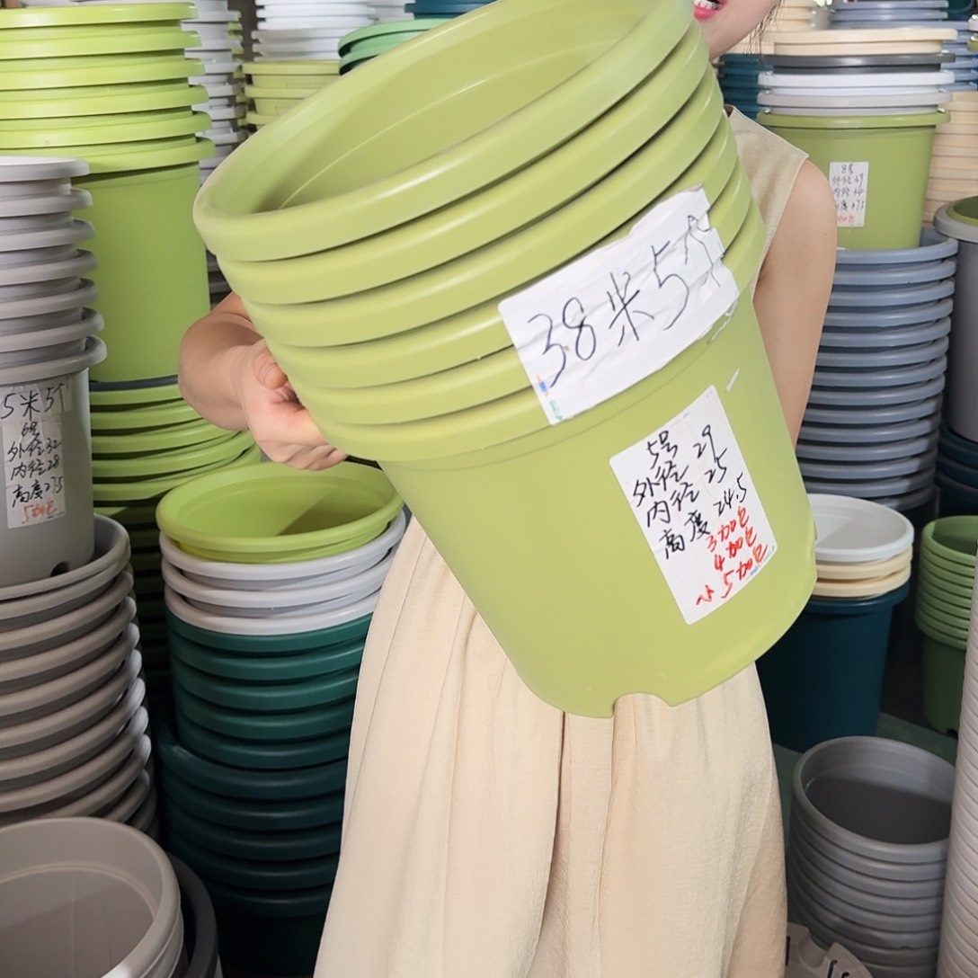 微瑕5#口径29无拖果绿5个