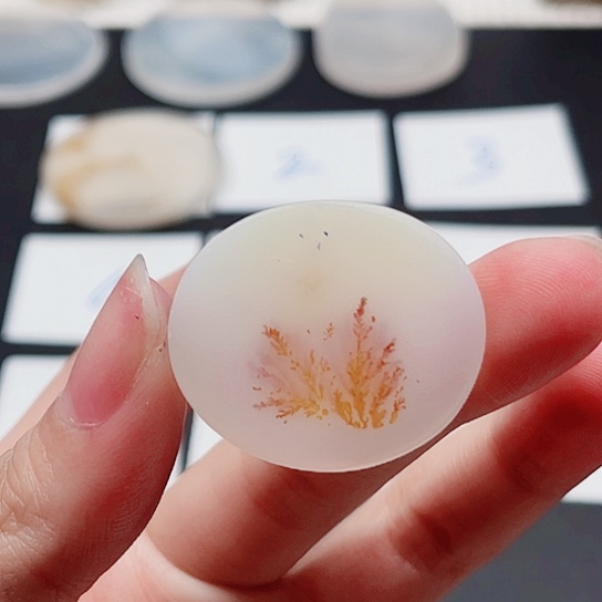 玛瑙/玉髓珠宝奇石未镶嵌