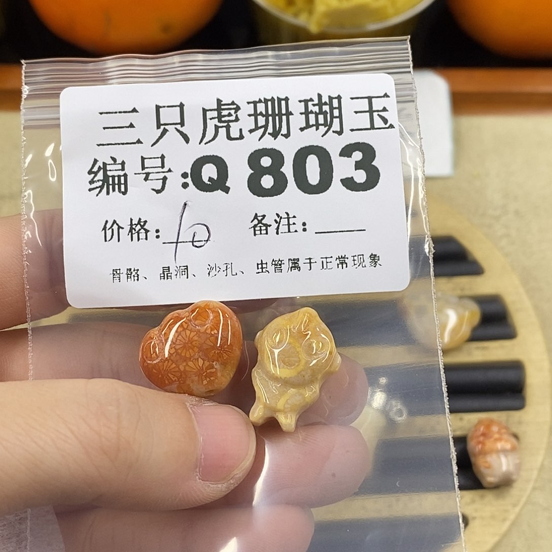 硅化珊瑚（珊瑚玉）1未镶嵌卿*