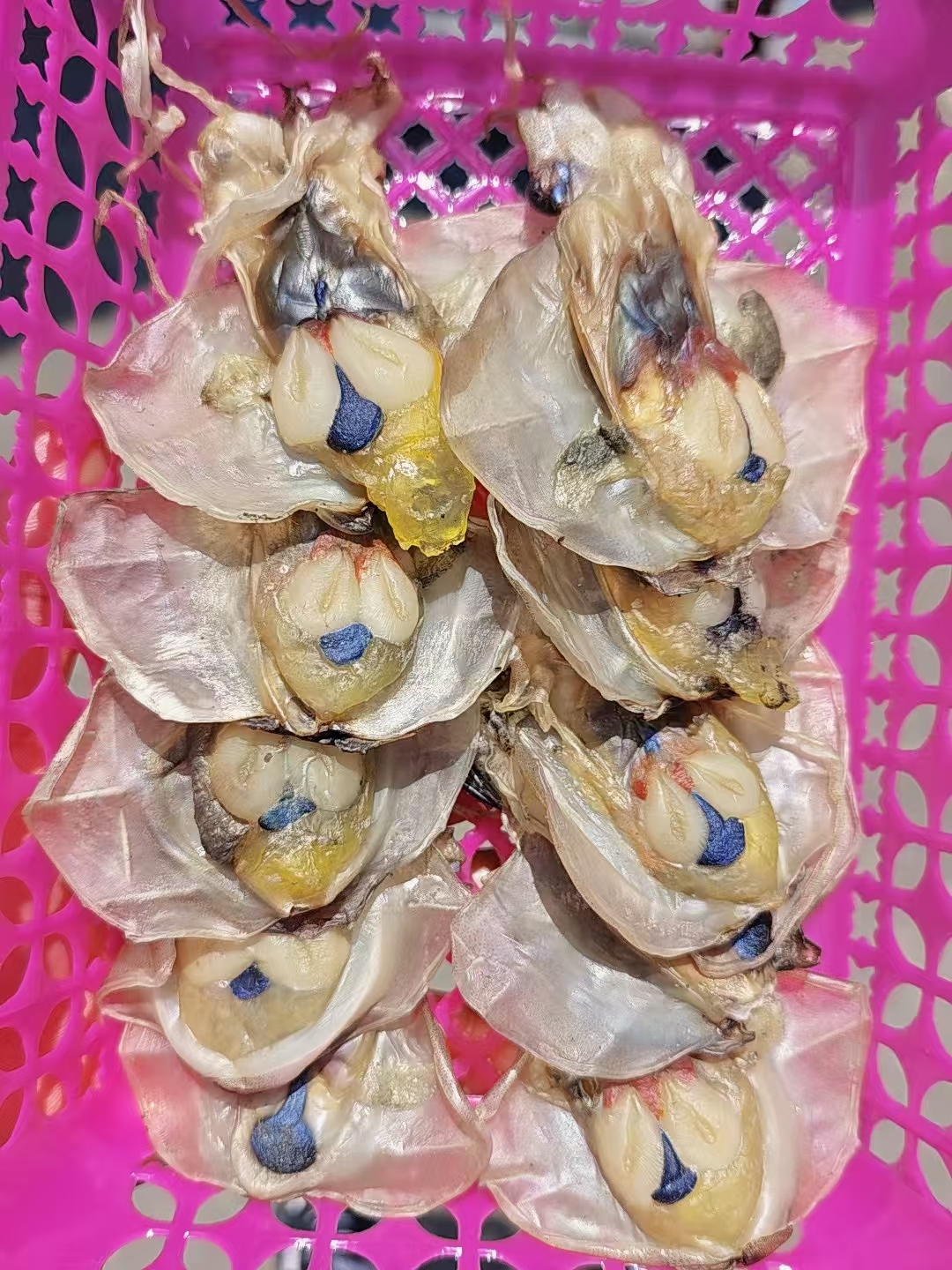 舟山野生墨鱼宝宝鲞