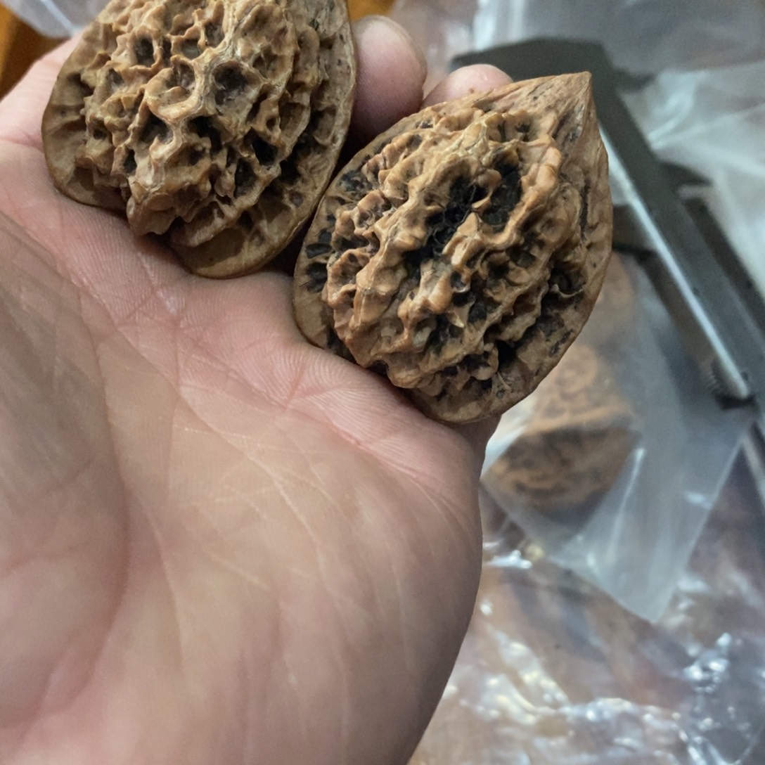秦岭南侧和东北的一