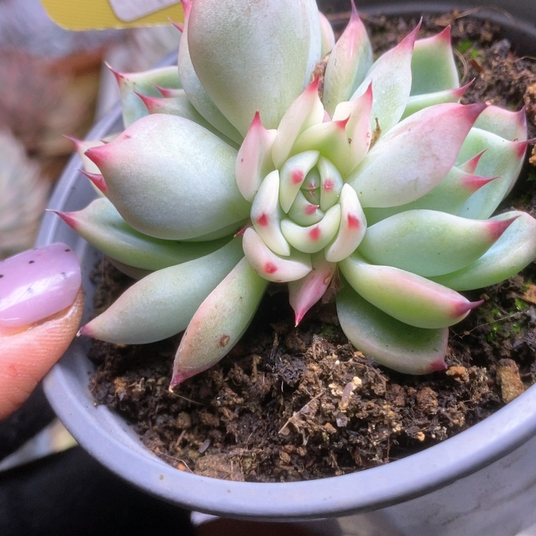 149哈哈哈哈哈哈哈哈