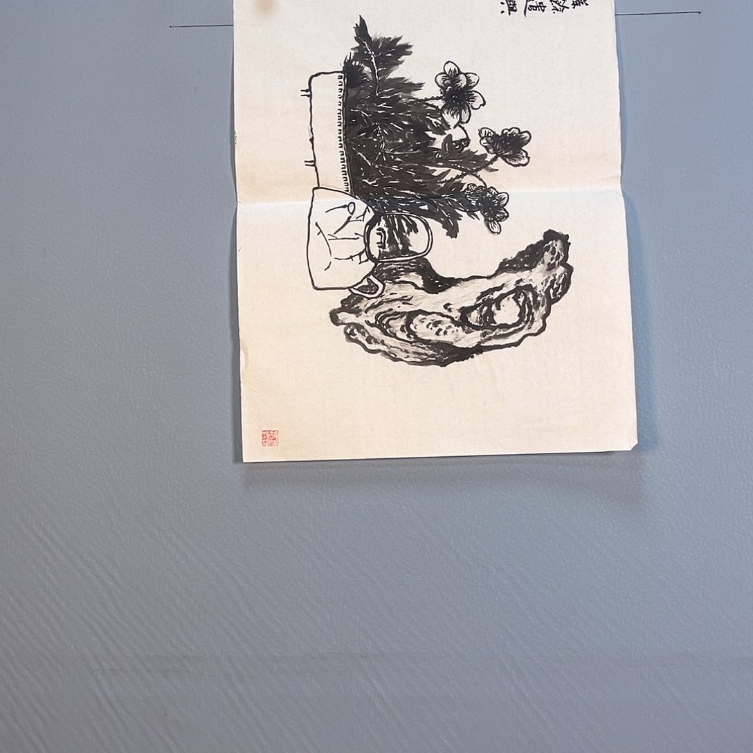 国画296 花开富贵花盛开时的