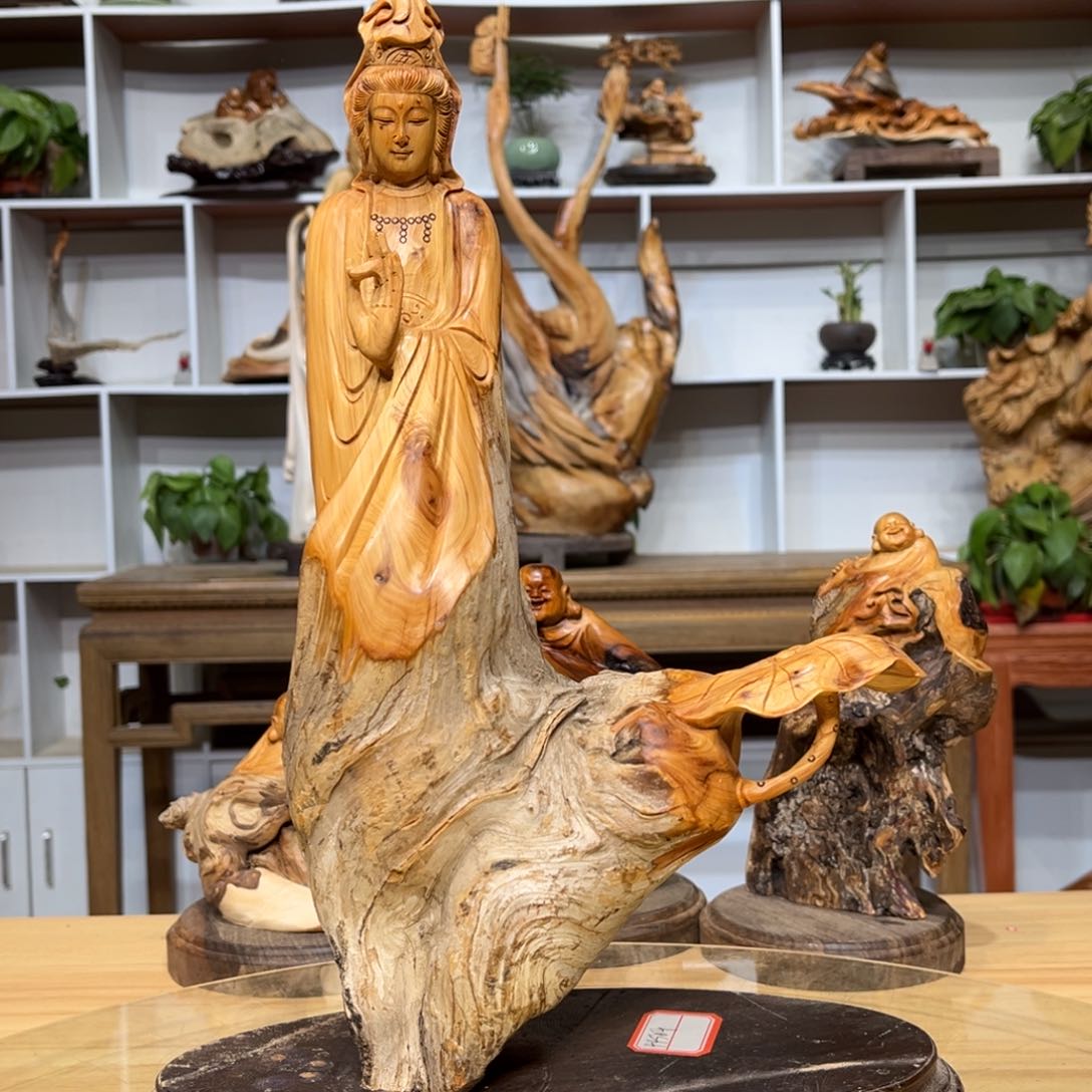 柏木（崖柏）646646464664