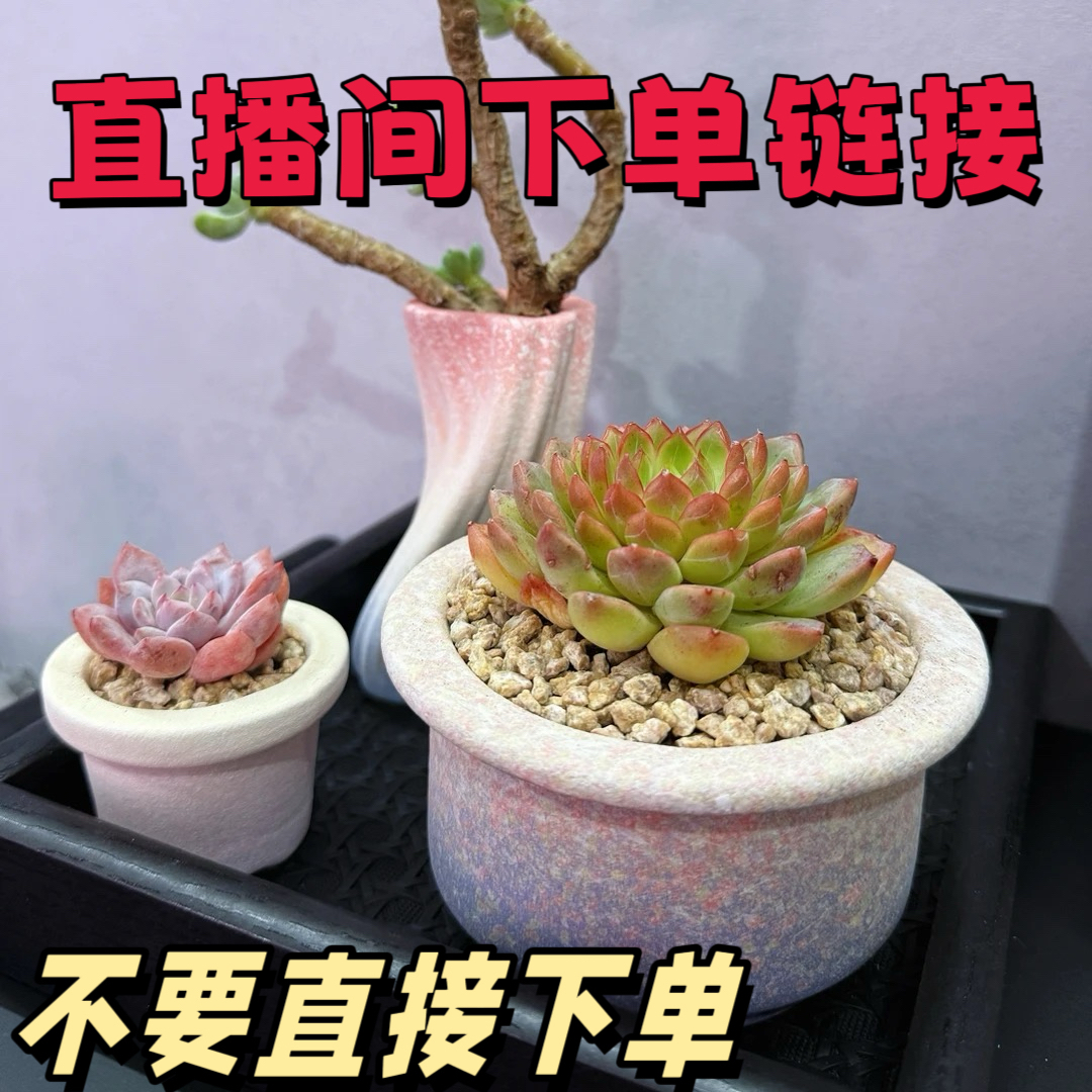 直播间7-12麦饭石花盆链接 满36包邮