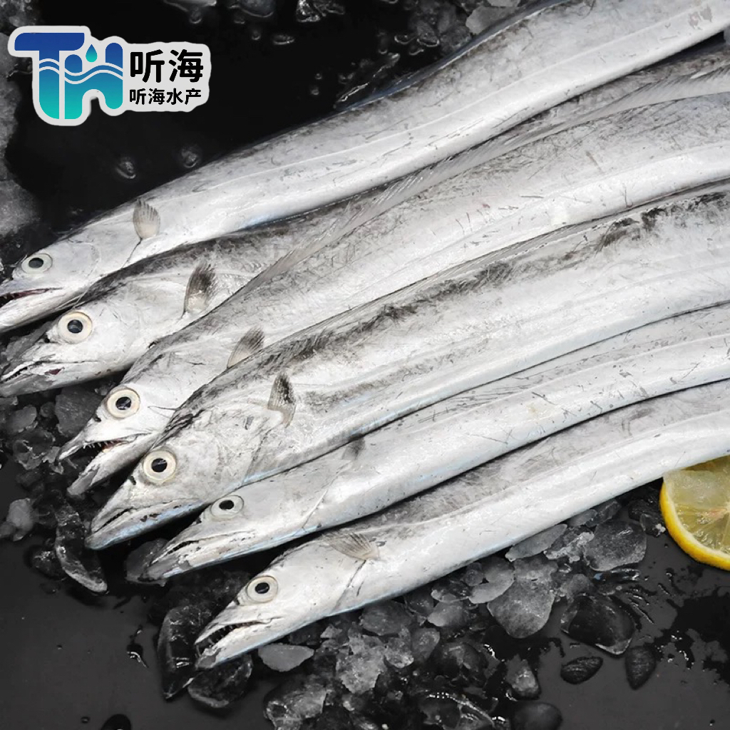 连云港海钓新鲜小眼睛带鱼肉质鲜嫩船冻锁鲜6条