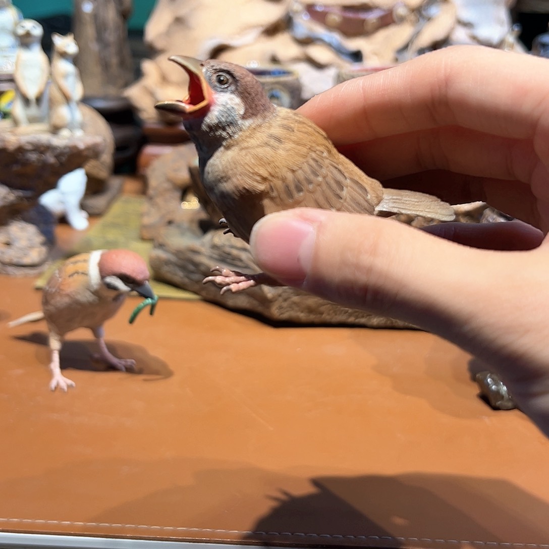 婧*麻雀作品手绘作品