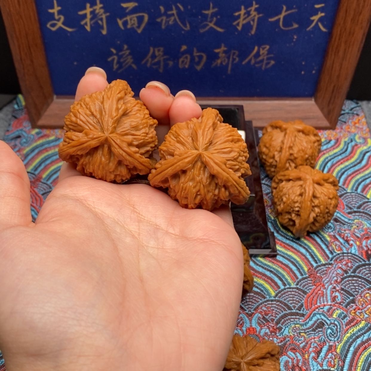 【闪购商品】沿***?白狮
