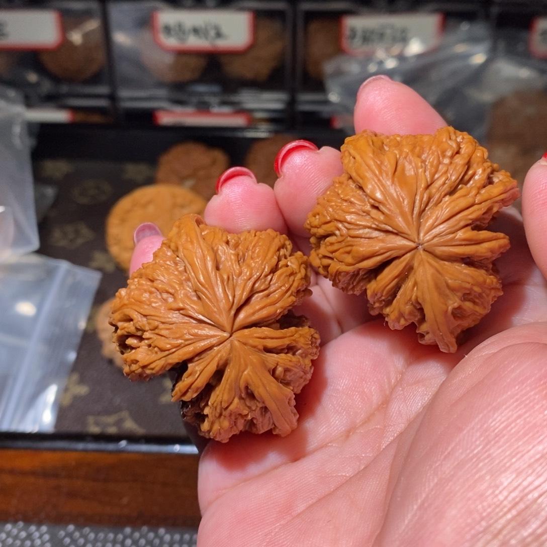 南***火文玩核桃把件南疆牛