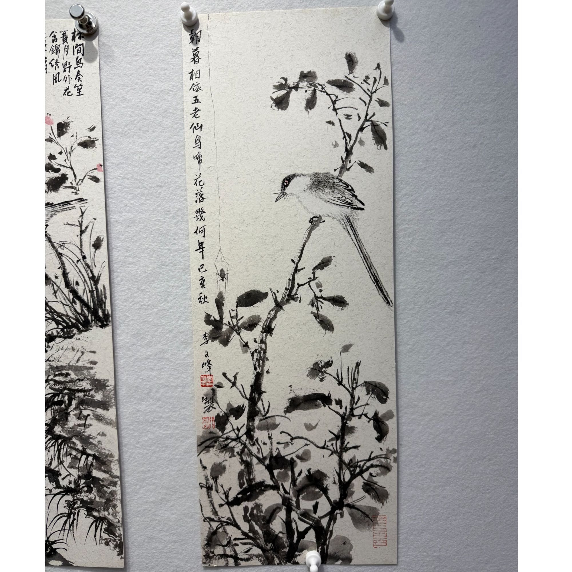 四尺四开-花鸟卡纸-李老师作品
