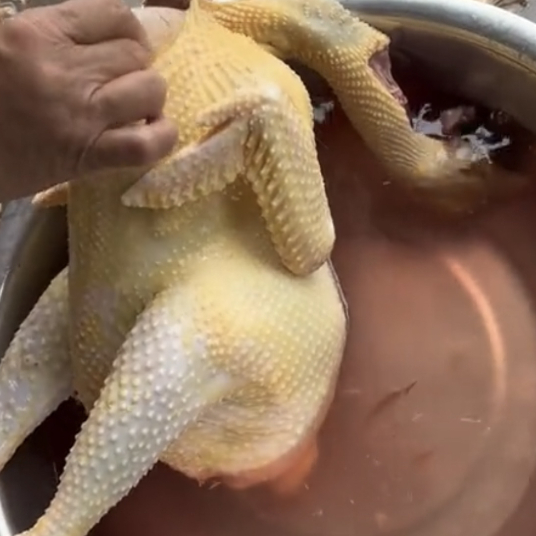 农家散养土腌鸡，汤好真空包装，带鸡肾顺丰包邮，没有售后