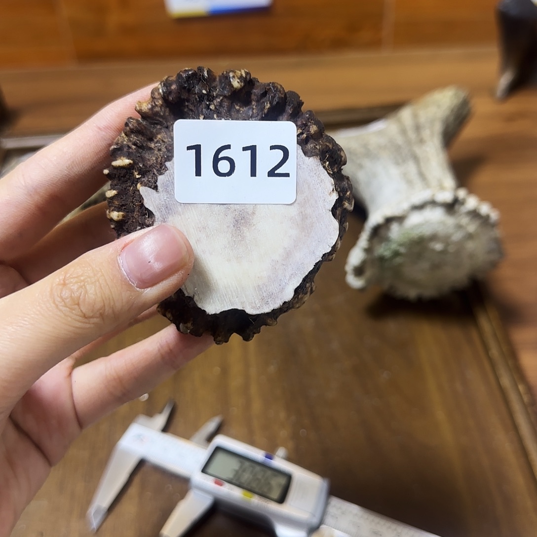 鹿骨手串/手链1612 角帽