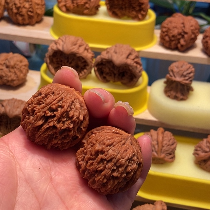 官方网站发布消息