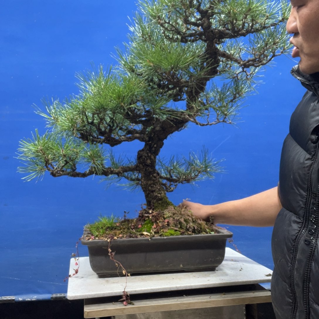 生***扰无花朵8888888888