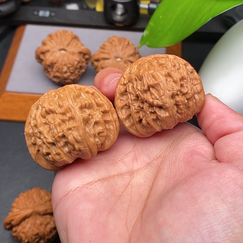 【闪购商品】文玩核桃把件球白全品42