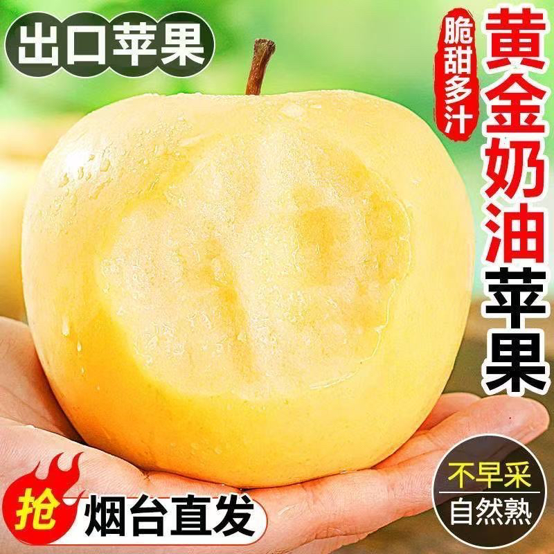 树上熟2025烟台奶油富士新鲜采摘维纳斯苹果脆甜多汁新鲜采摘苹果