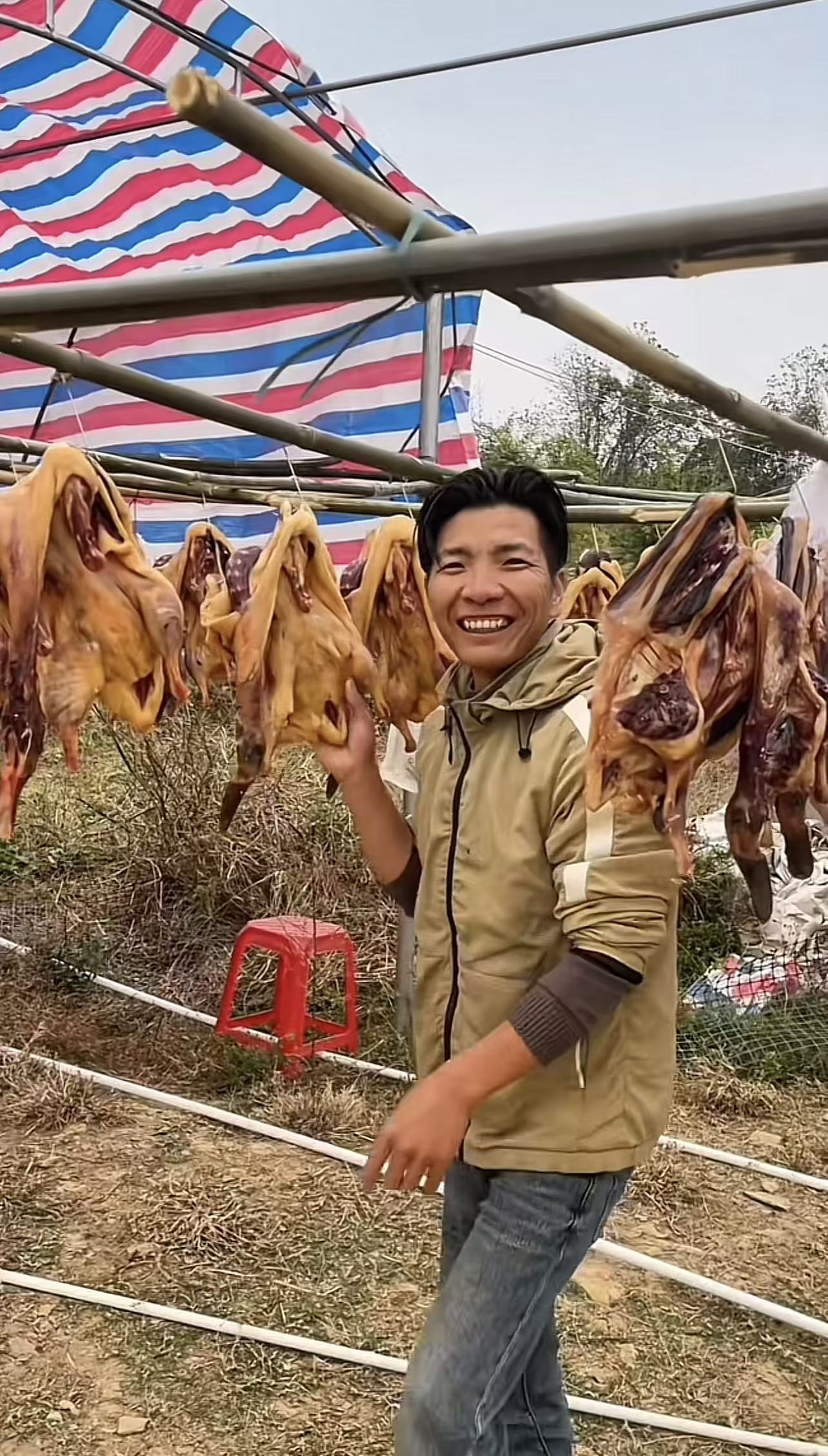 160天大青头 自然风干青头鸭