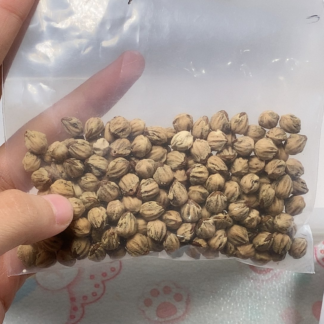 叭***巴吊坠柏香籽/百香籽