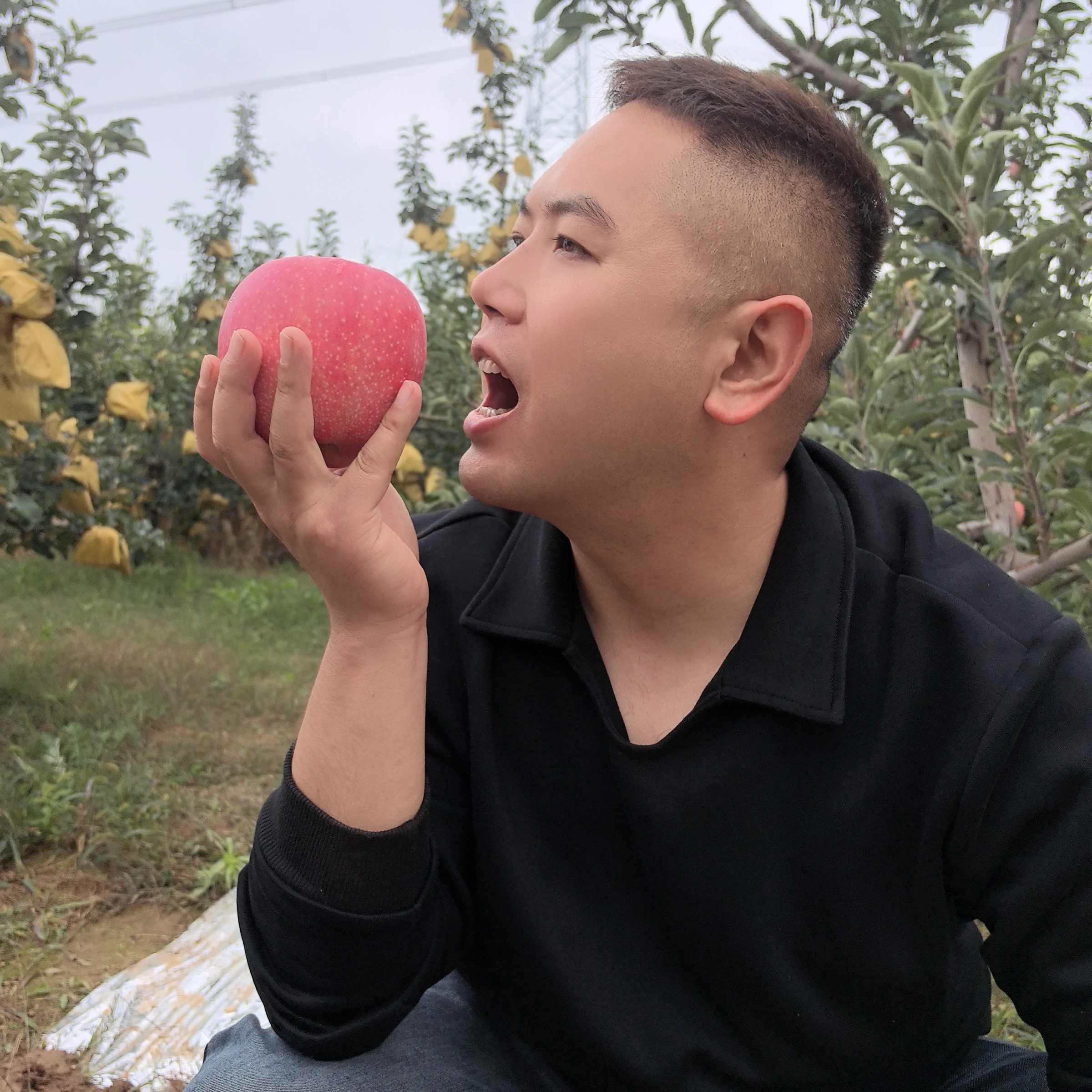 （二级品质）甘肃庆阳中秋王（微瑕疵）苹果脆甜可（不支持售后）