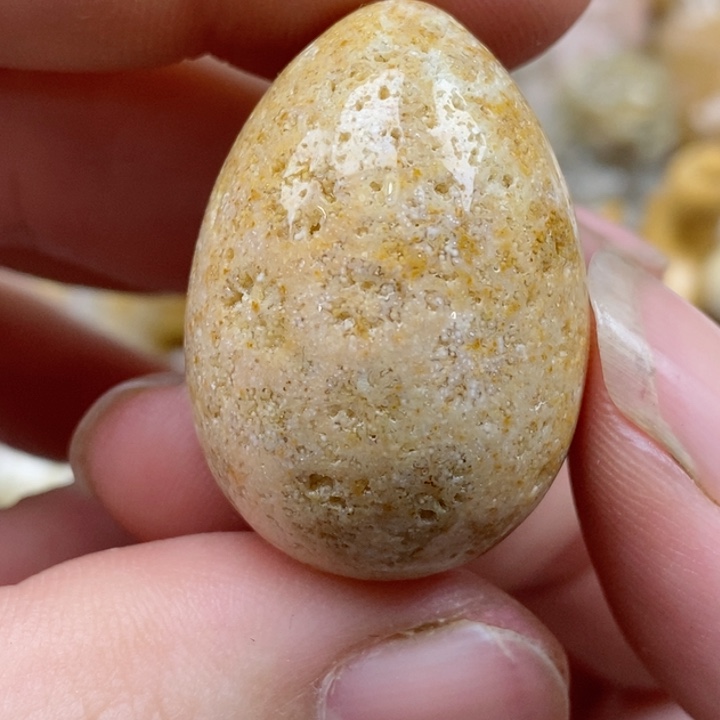 颈饰未镶嵌硅化珊瑚（珊瑚玉）有瑕