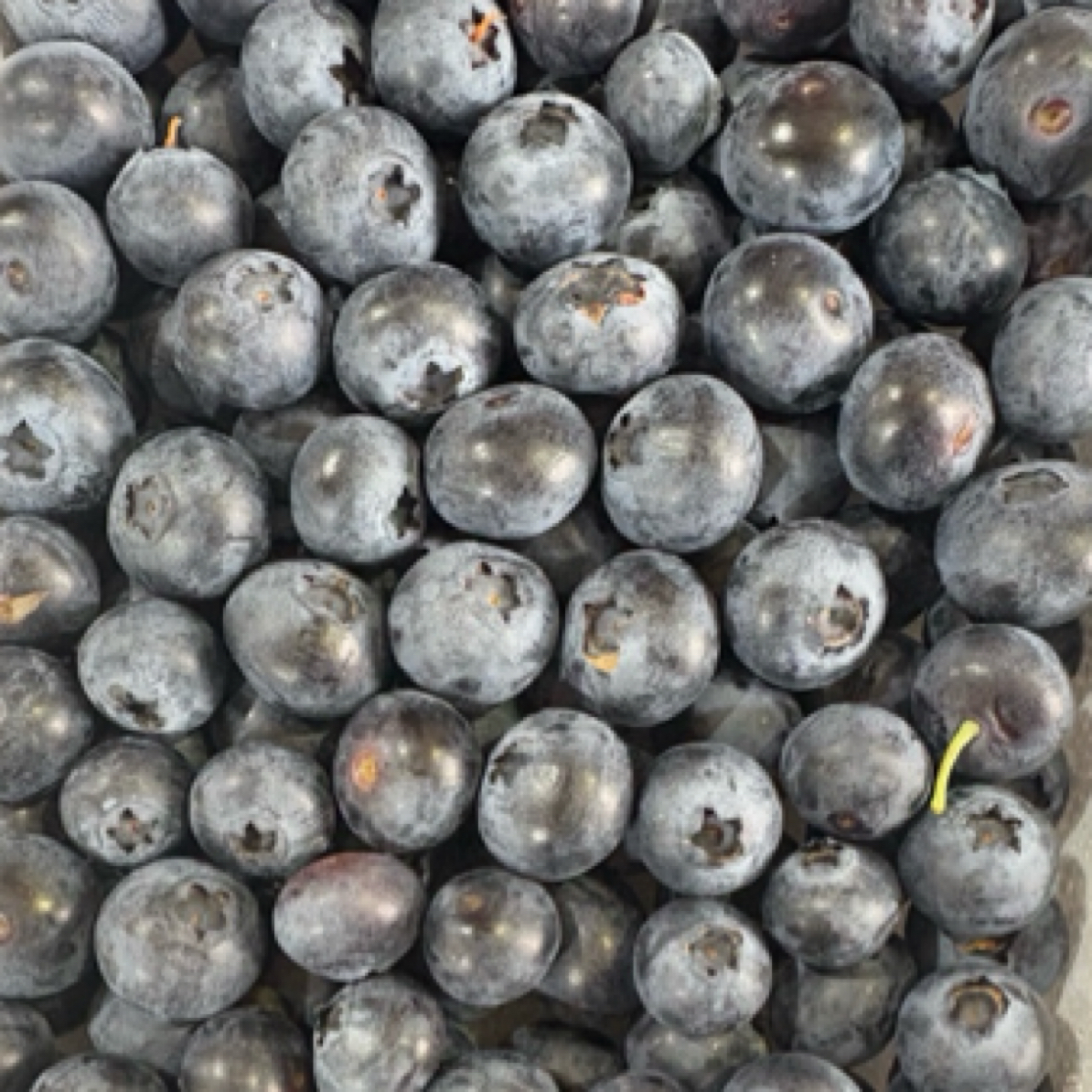 云南蓝莓15mm泡沫盒装  400g/盒