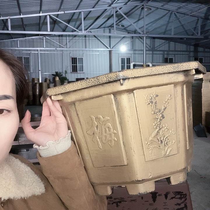 贵***子八角40花盆20个300元包邮