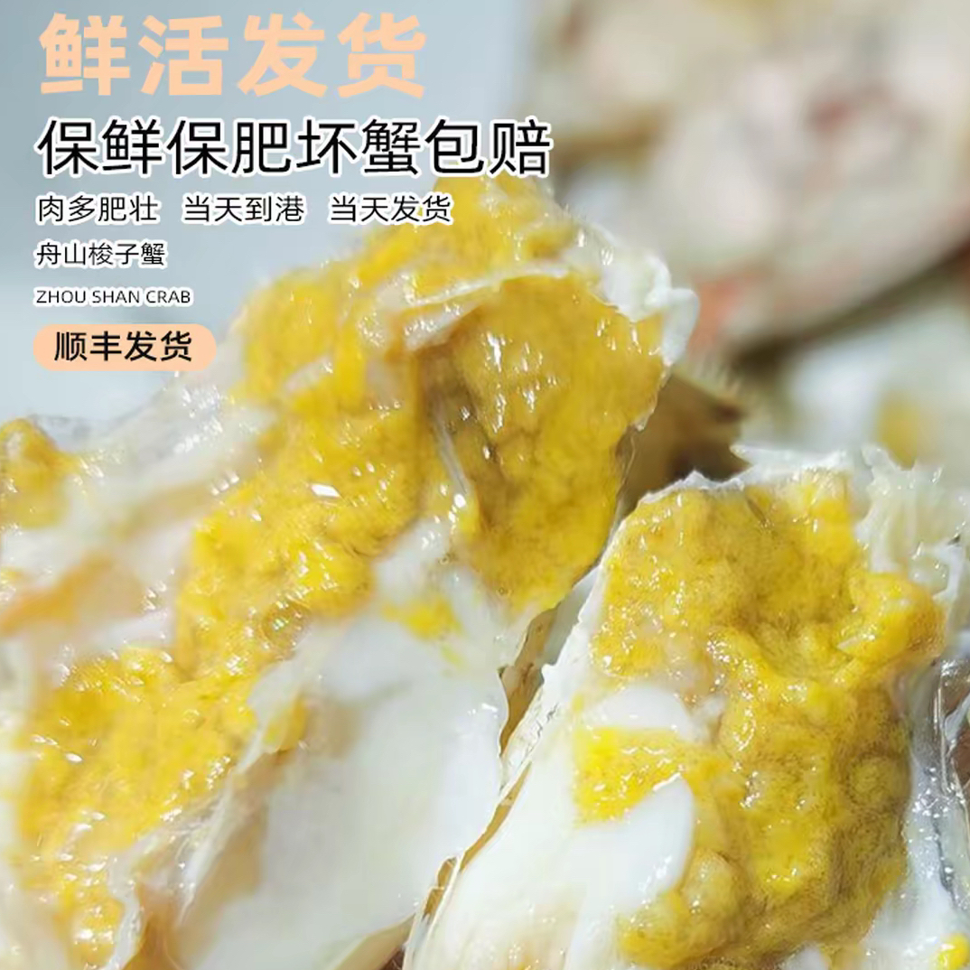 （鲜活/保鲜不包活）中蟹舟山梭子蟹3/5斤 （每只3两到5两左右）9-10只