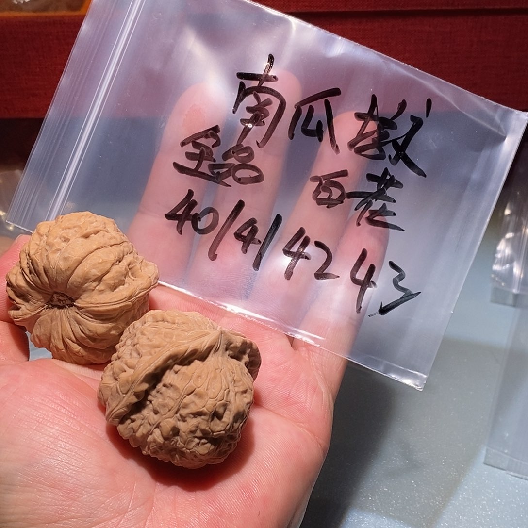 吊坠桃核南瓜顿、全品、白茬