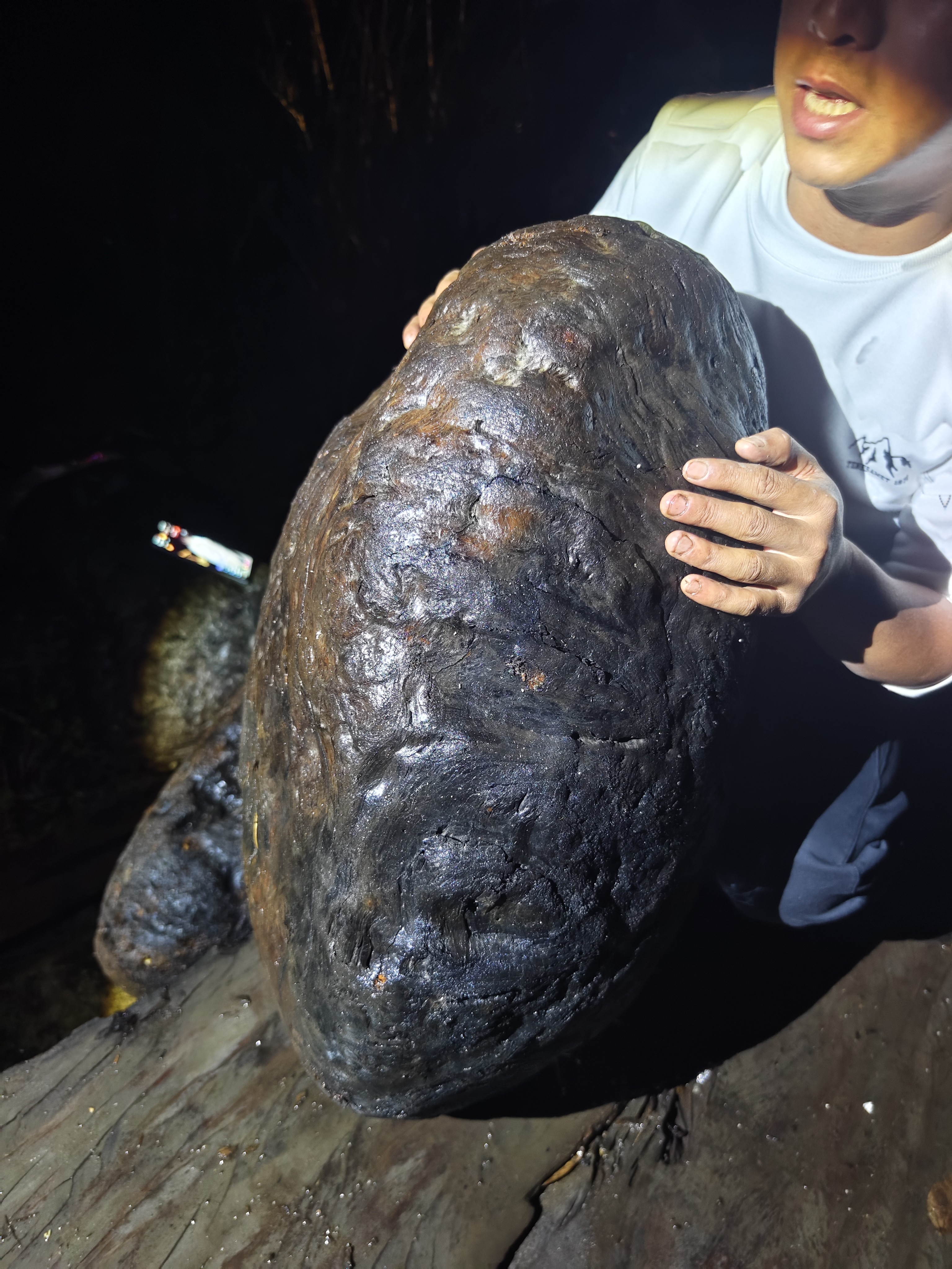 民间使用风化木阴沉木