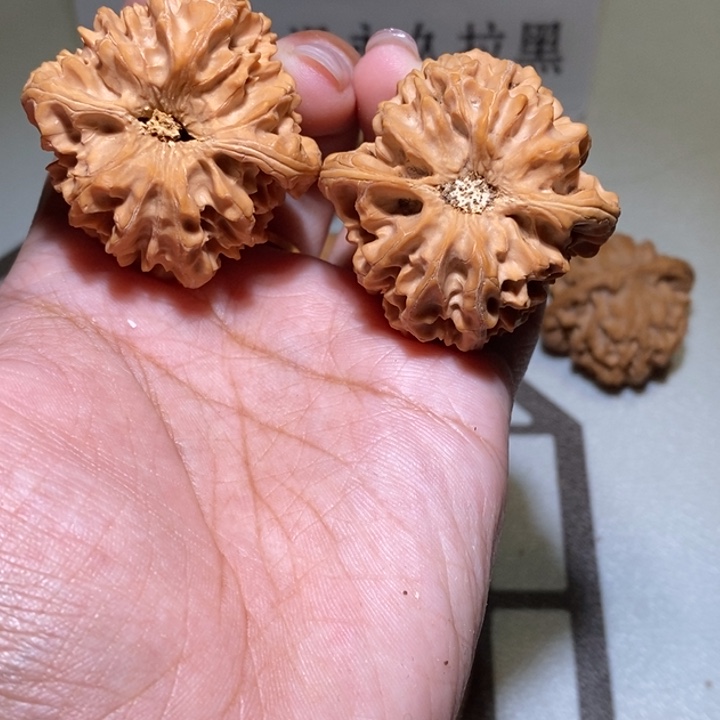 奇***士核桃手串/手链龙门