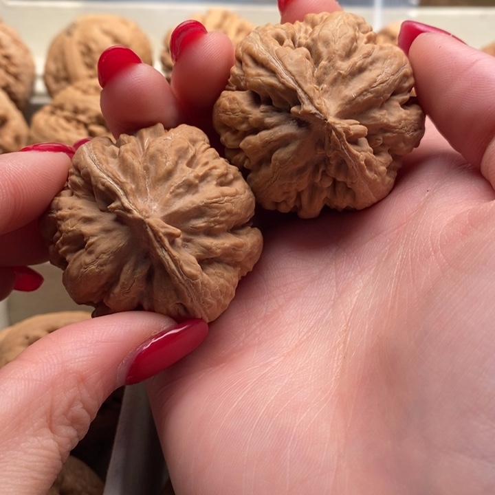 元***贞文玩核桃把件霸王龙