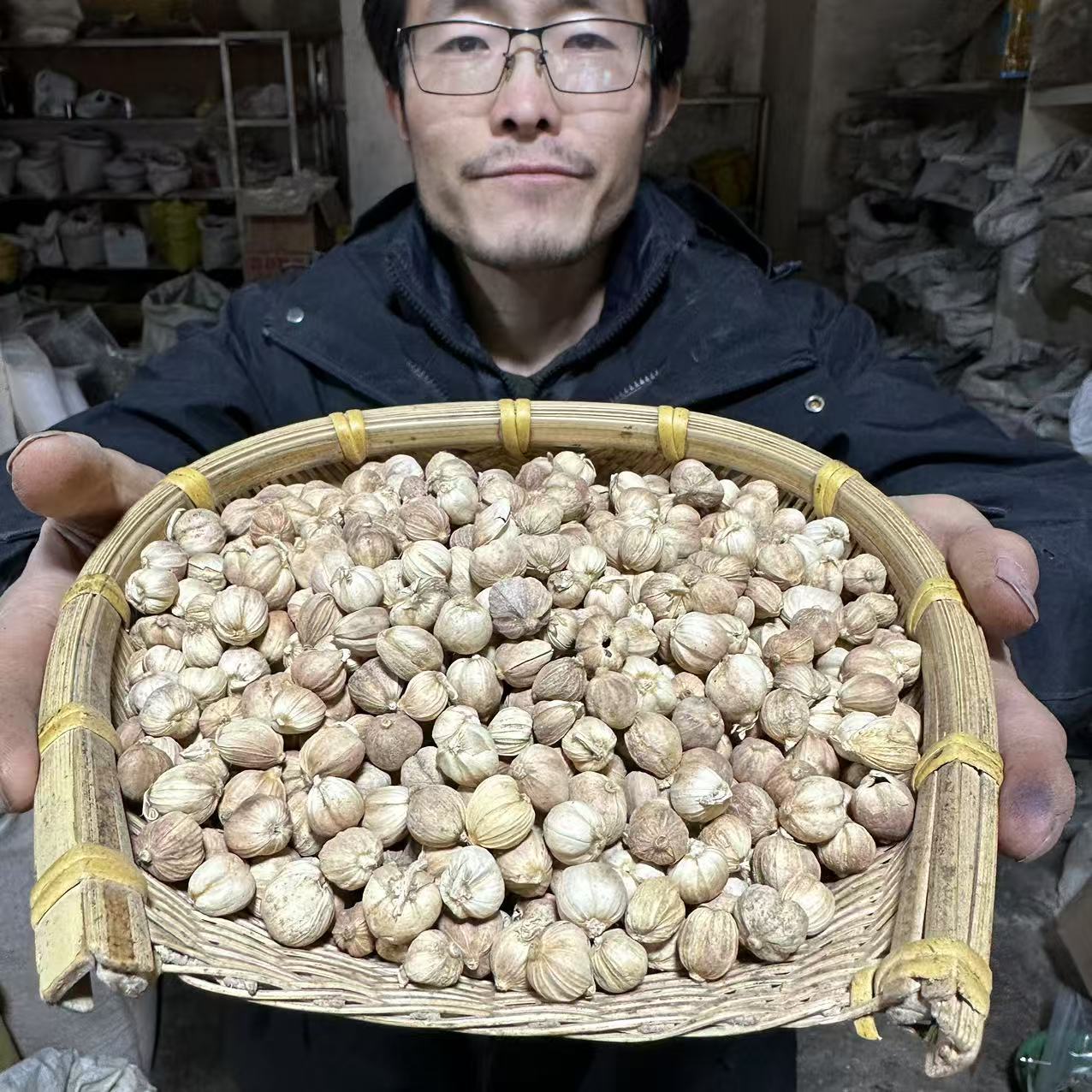 白蔻 广西种植白蔻 无熏硫白蔻 白扣