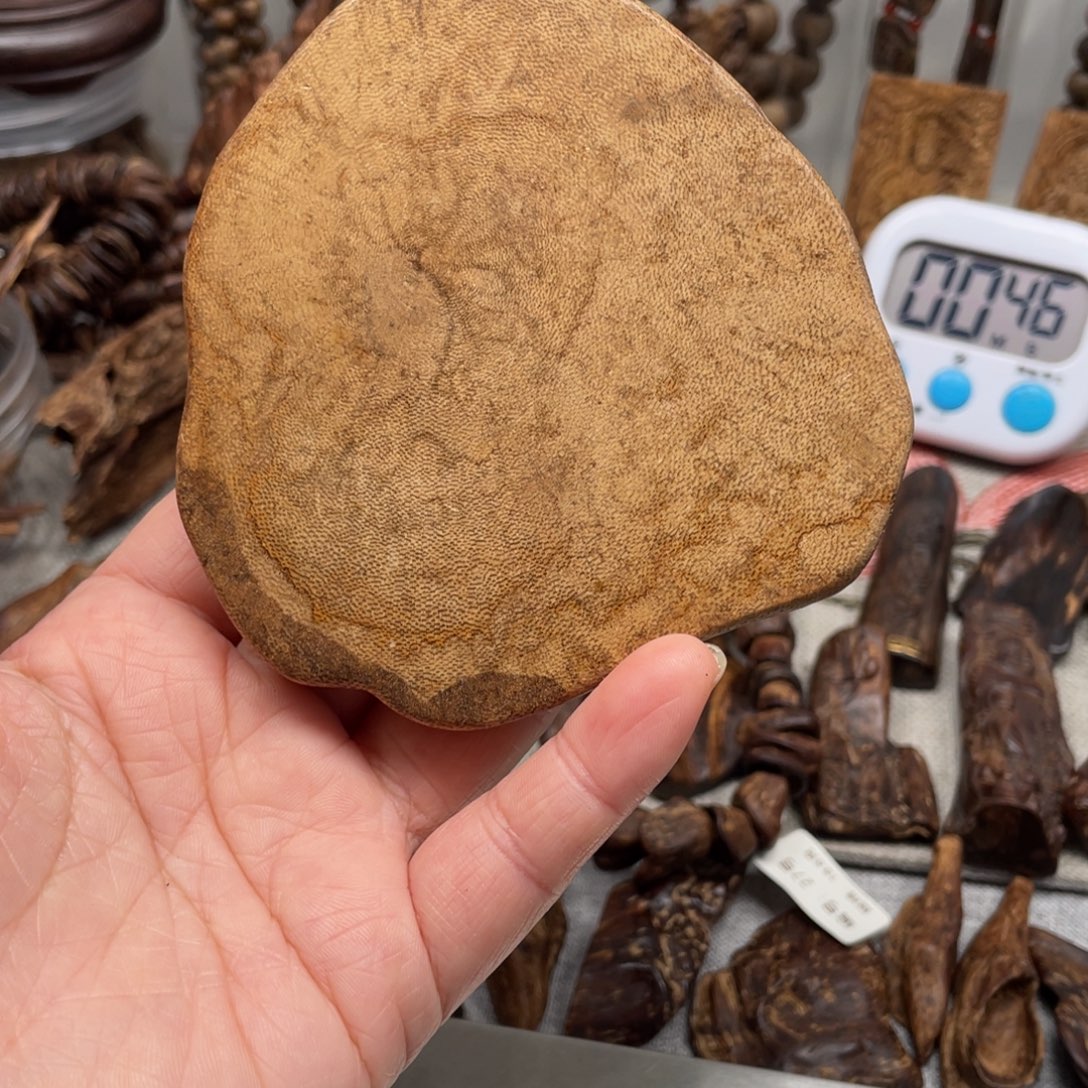 东***驰沉香沉香碎屑达拉干